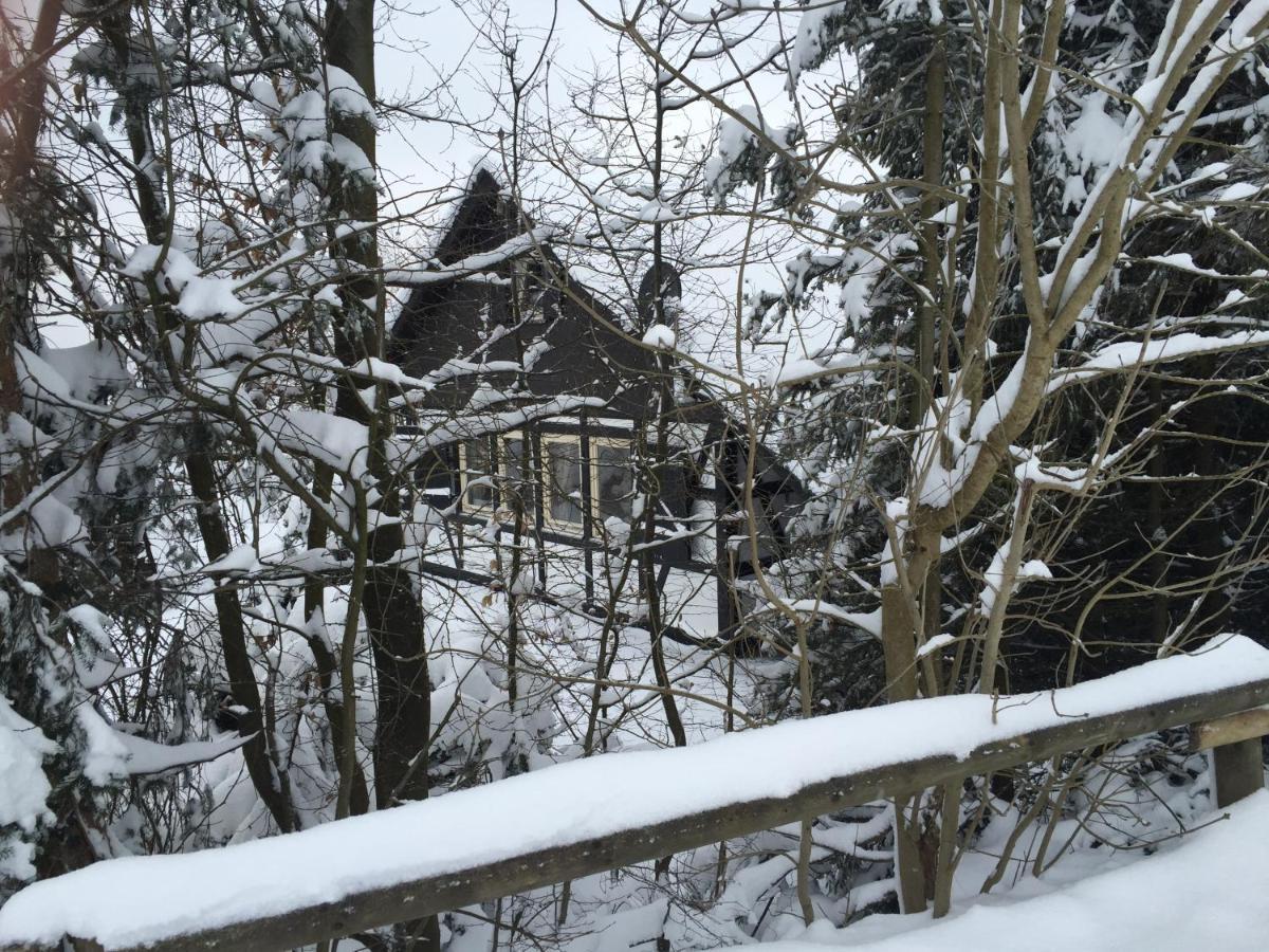 Ferienhaus Sauerlandtraum Winterberg Zewnętrze zdjęcie