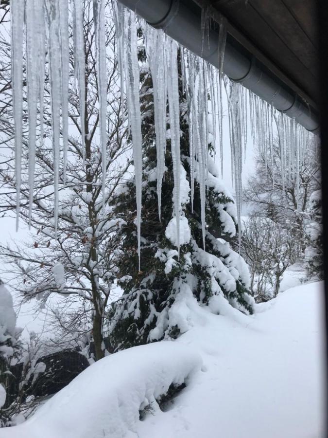 Ferienhaus Sauerlandtraum Winterberg Zewnętrze zdjęcie