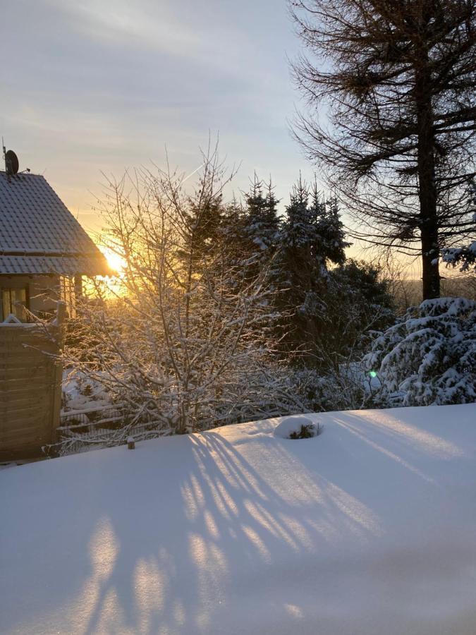 Ferienhaus Sauerlandtraum Winterberg Zewnętrze zdjęcie