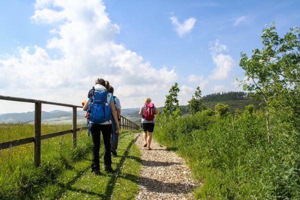 Ferienhaus Sauerlandtraum Winterberg Zewnętrze zdjęcie