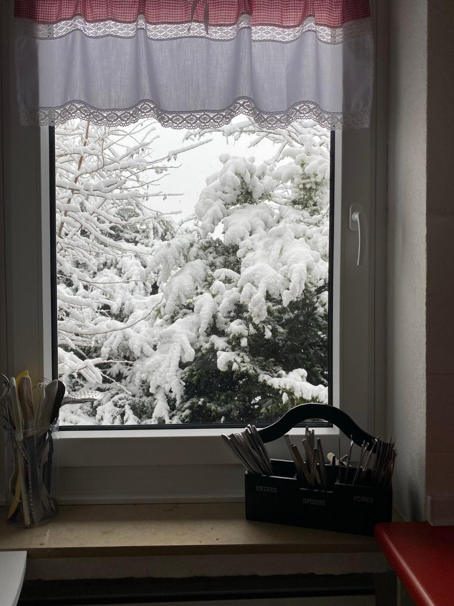 Ferienhaus Sauerlandtraum Winterberg Zewnętrze zdjęcie